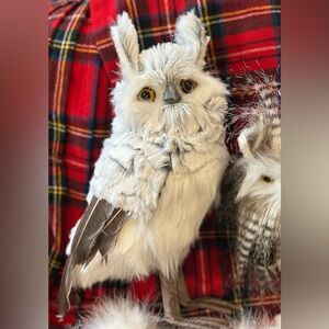 9 feathery owls. I’ve had them all standing. Woodsy and delicate. Variety pack.